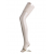 AUTOREGGENTI setificate